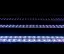 INFINITY MIRROR